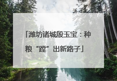 潍坊诸城殷玉宝：种粮“蹚”出新路子