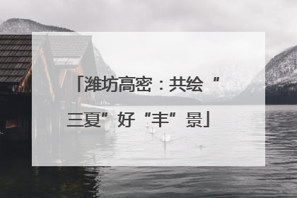 潍坊高密：共绘“三夏”好“丰”景