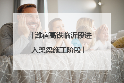 潍宿高铁临沂段进入架梁施工阶段