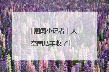 潮闻小记者｜太空南瓜丰收了