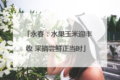永春：水果玉米迎丰收 采摘尝鲜正当时
