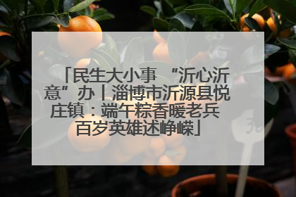 民生大小事 “沂心沂意”办丨淄博市沂源县悦庄镇：端午粽香暖老兵 百岁英雄述峥嵘
