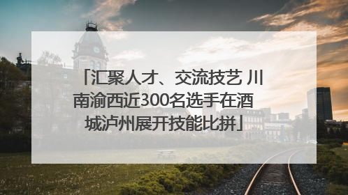 汇聚人才、交流技艺 川南渝西近300名选手在酒城泸州展开技能比拼