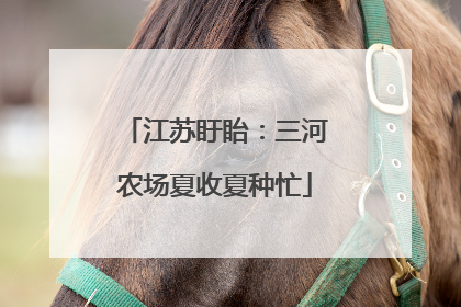 江苏盱眙：三河农场夏收夏种忙