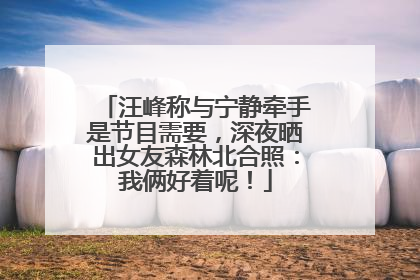 汪峰称与宁静牵手是节目需要，深夜晒出女友森林北合照：我俩好着呢！