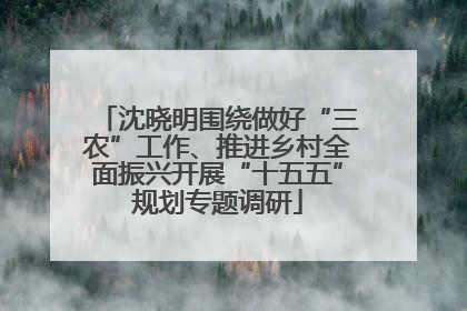 沈晓明围绕做好“三农”工作、推进乡村全面振兴开展“十五五”规划专题调研