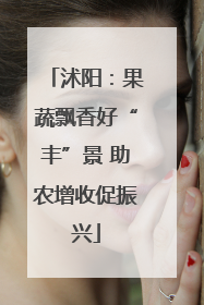 沭阳：果蔬飘香好“丰”景 助农增收促振兴