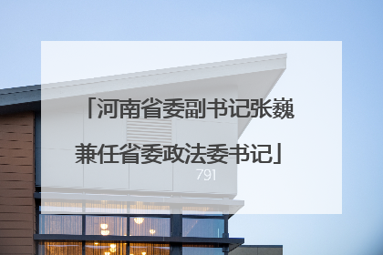 河南省委副书记张巍兼任省委政法委书记