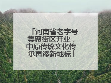 河南省老字号集聚街区开业，中原传统文化传承再添新地标