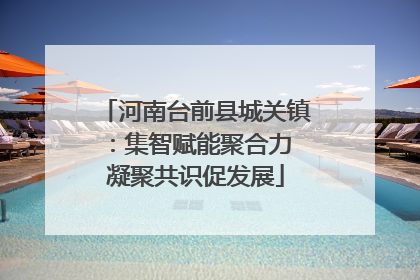 河南台前县城关镇：集智赋能聚合力 凝聚共识促发展