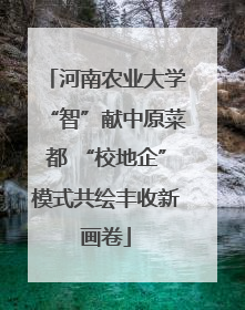 河南农业大学“智”献中原菜都 “校地企”模式共绘丰收新画卷