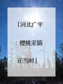 河北广平：樱桃采摘正当时