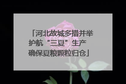 河北故城多措并举护航“三夏”生产 确保夏粮颗粒归仓