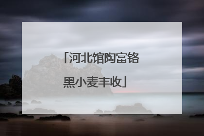 河北馆陶富铬黑小麦丰收