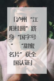 泸州“江阳桂圆”跻身“国字号” “甜蜜名片”获全国认证
