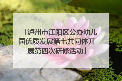 泸州市江阳区公办幼儿园优质发展第七共同体开展第四次研修活动