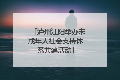 泸州江阳举办未成年人社会支持体系共建活动