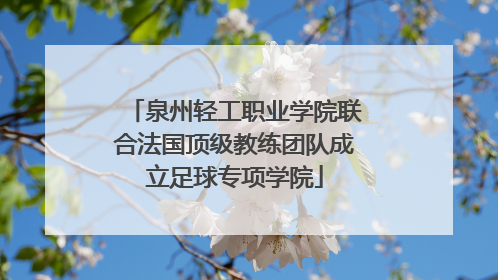 泉州轻工职业学院联合法国顶级教练团队成立足球专项学院