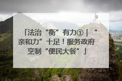法治“衡”有力①｜“亲和力”十足！服务政府烹制“便民大餐”