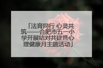 法育同行 心灵共筑——合肥市五一小学开展结对共建暨心理健康月主题活动