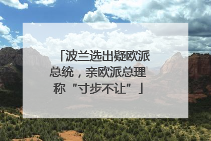 波兰选出疑欧派总统，亲欧派总理称“寸步不让”