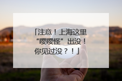 注意！上海这里“嘤嘤怪”出没！你见过没？！