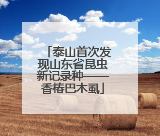 泰山首次发现山东省昆虫新记录种——香椿巴木虱