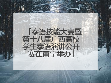 泰语技能大赛暨第十八届广西高校学生泰语演讲公开赛在南宁举办