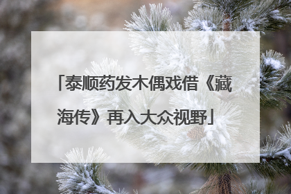 泰顺药发木偶戏借《藏海传》再入大众视野