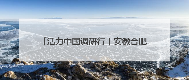 活力中国调研行丨安徽合肥：打造未来产业聚集高地