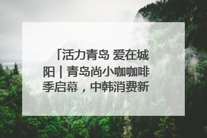 活力青岛 爱在城阳｜青岛尚小咖咖啡季启幕，中韩消费新场景点燃夏日热情