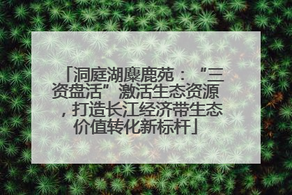 洞庭湖麋鹿苑：“三资盘活”激活生态资源，打造长江经济带生态价值转化新标杆