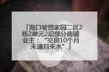 海口坡博家园二区2栋2单元2层部分商铺业主：“交房10个月未通自来水”