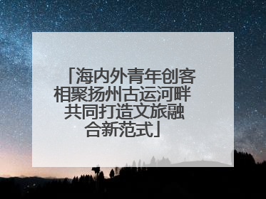 海内外青年创客相聚扬州古运河畔 共同打造文旅融合新范式