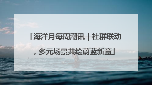 海洋月每周潮讯｜社群联动，多元场景共绘蔚蓝新章