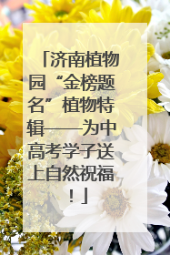 济南植物园“金榜题名”植物特辑——为中高考学子送上自然祝福！