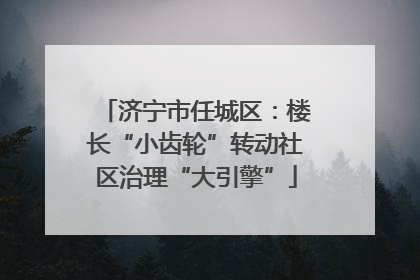 济宁市任城区：楼长“小齿轮”转动社区治理“大引擎”