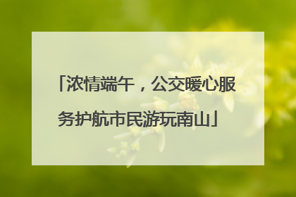 浓情端午，公交暖心服务护航市民游玩南山