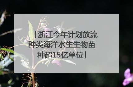 浙江今年计划放流种类海洋水生生物苗种超15亿单位