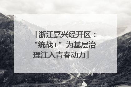 浙江嘉兴经开区：“统战+”为基层治理注入青春动力