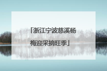 浙江宁波慈溪杨梅迎采摘旺季