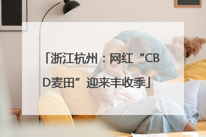 浙江杭州：网红“CBD麦田”迎来丰收季