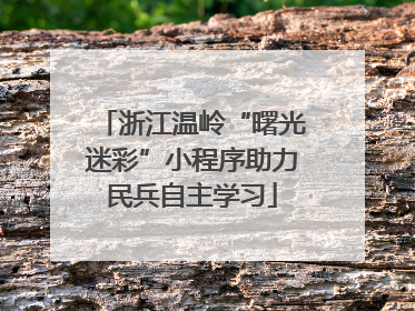 浙江温岭“曙光迷彩”小程序助力民兵自主学习