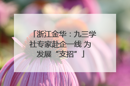 浙江金华：九三学社专家赴企一线 为发展“支招”