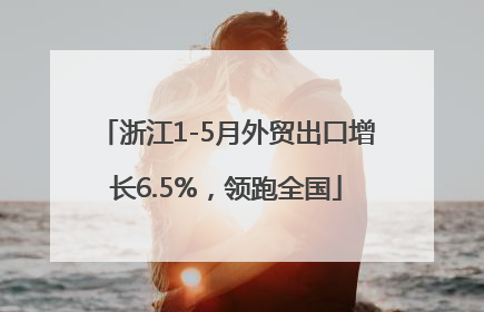 浙江1-5月外贸出口增长6.5%，领跑全国