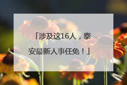 涉及这16人，泰安最新人事任免！