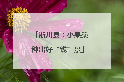 淅川县：小果桑种出好“钱”景