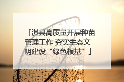 淇县高质量开展种苗管理工作 夯实生态文明建设“绿色根基”