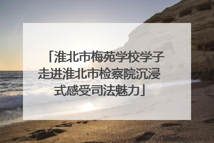 淮北市梅苑学校学子走进淮北市检察院沉浸式感受司法魅力