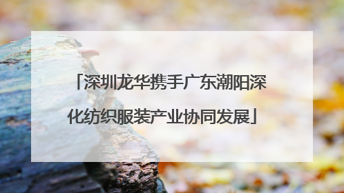 深圳龙华携手广东潮阳深化纺织服装产业协同发展